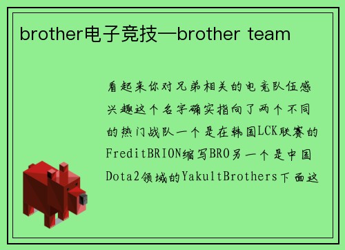 brother电子竞技—brother team